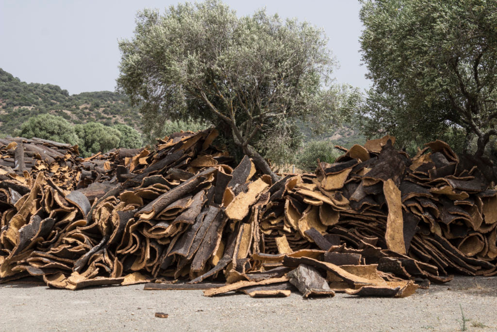 Curved sheets of harvested cork bark stacked outdoors beneath trees.